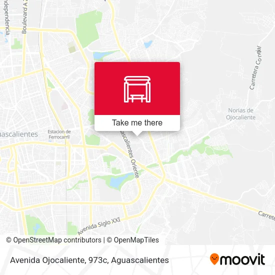 Mapa de Avenida Ojocaliente, 973c