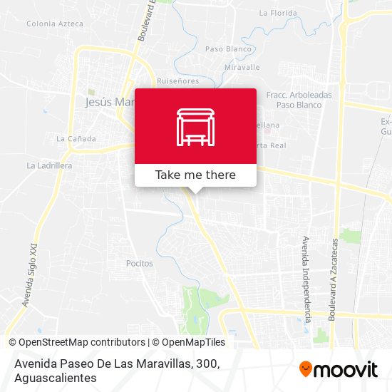 Mapa de Avenida Paseo De Las Maravillas, 300