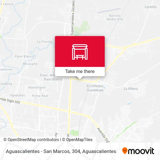 Mapa de Aguascalientes - San Marcos, 304