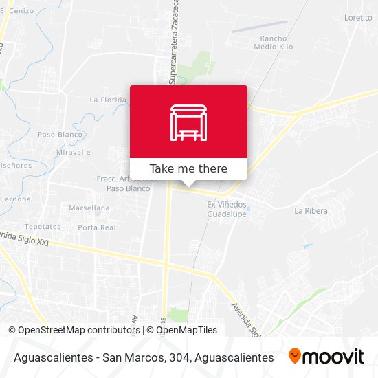 Mapa de Aguascalientes - San Marcos, 304