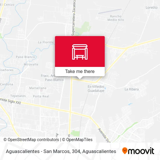 Mapa de Aguascalientes - San Marcos, 304
