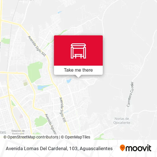 Mapa de Avenida Lomas Del Cardenal, 103