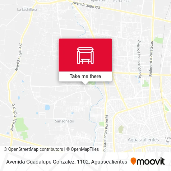Mapa de Avenida Guadalupe Gonzalez, 1102