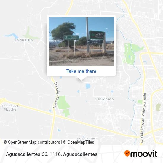 Aguascalientes 66, 1116 map