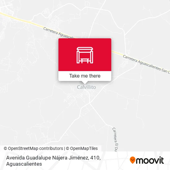 Mapa de Avenida Guadalupe Nájera Jiménez, 410