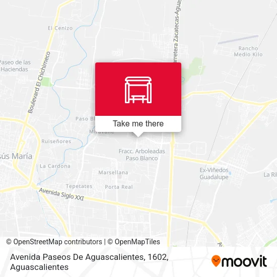 Mapa de Avenida Paseos De Aguascalientes, 1602