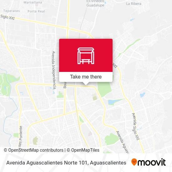 Avenida Aguascalientes Norte 101 map