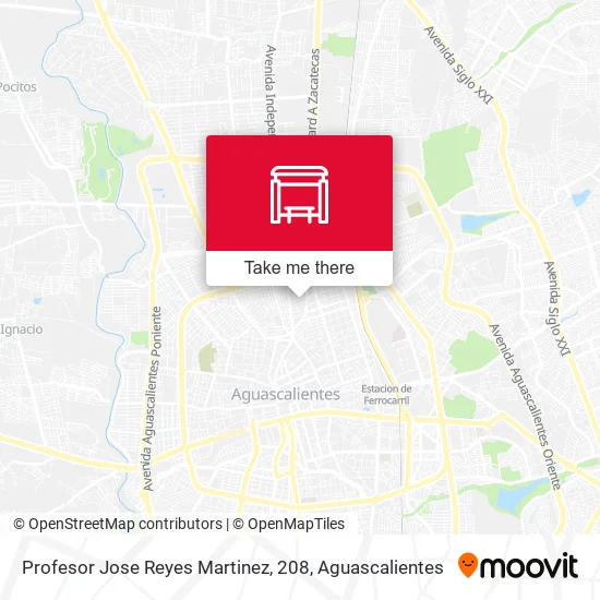 Mapa de Profesor Jose Reyes Martinez, 208