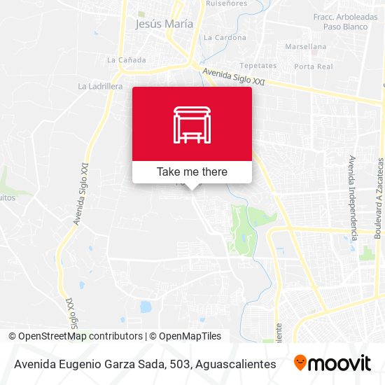 Mapa de Avenida Eugenio Garza Sada, 503