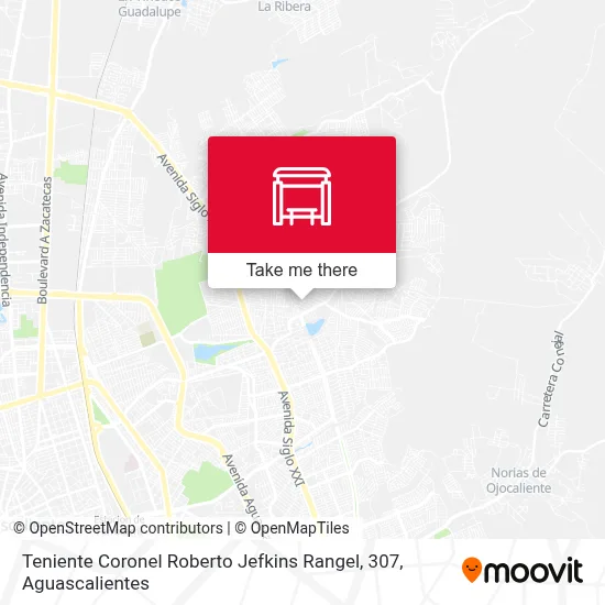 Teniente Coronel Roberto Jefkins Rangel, 307 map