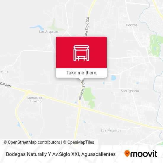 Bodegas Naturally Y Av.Siglo XXI map