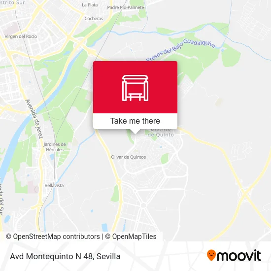 Avd Montequinto N 48 map