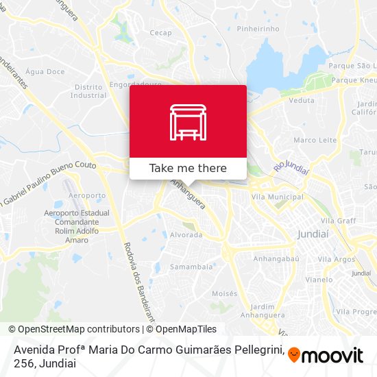 Avenida Profª Maria Do Carmo Guimarães Pellegrini, 256 map