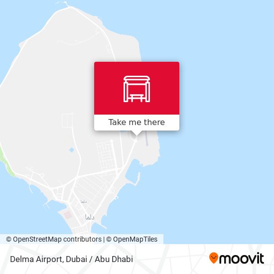 Delma Airport map