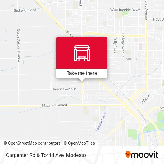 Carpenter Rd & Torrid Ave map