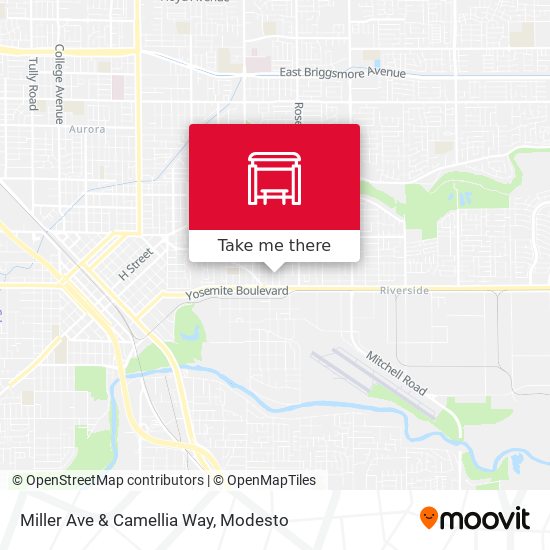 Miller Ave & Camellia Way map