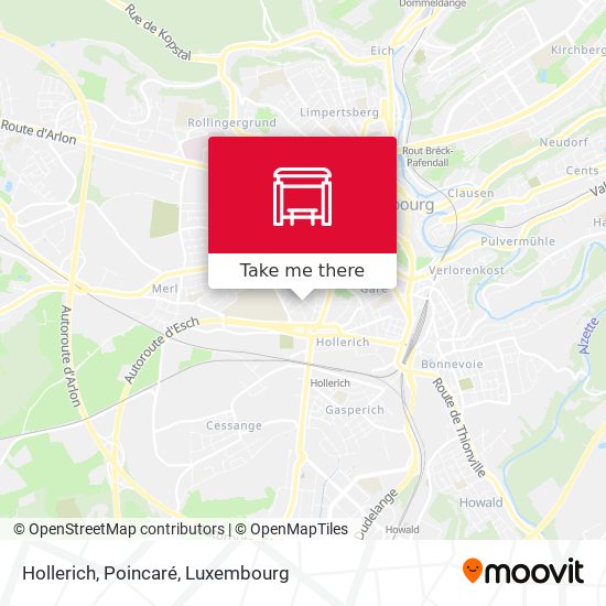 Hollerich, Poincaré map