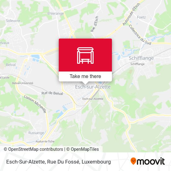 Esch-Sur-Alzette, Rue Large map