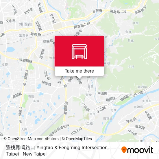 鶯桃鳳鳴路口 Yingtao & Fengming Intersection地圖