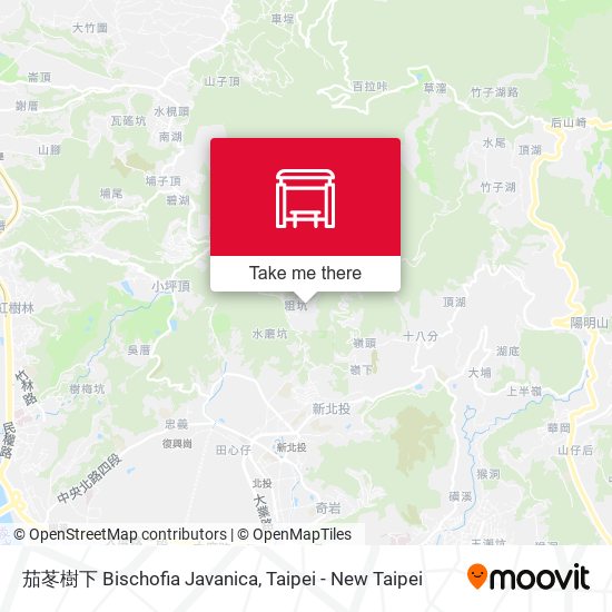 茄苳樹下 Bischofia Javanica地圖