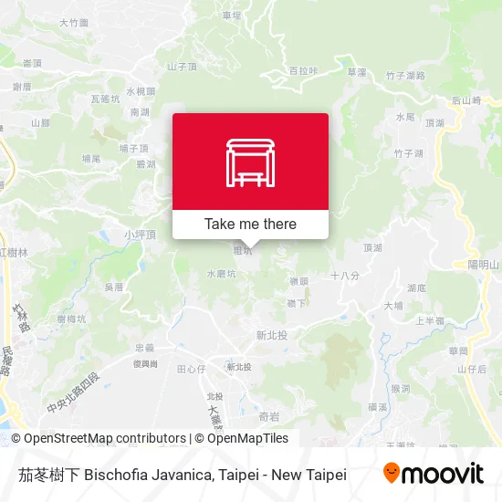 茄苳樹下 Bischofia Javanica map