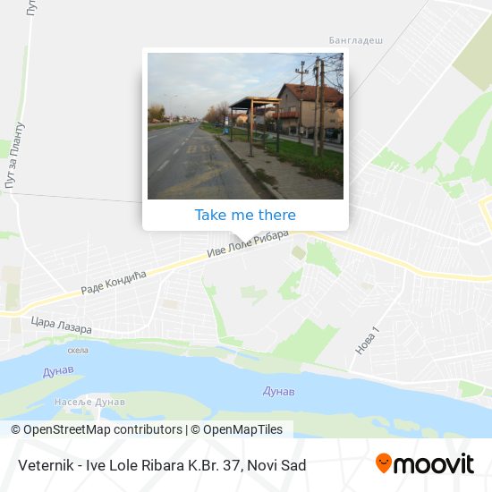 Veternik - Ive Lole Ribara K.Br. 37 map