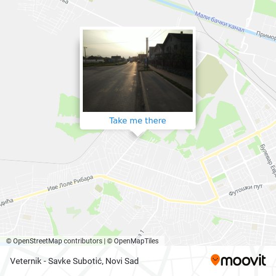 Veternik - Savke Subotić map