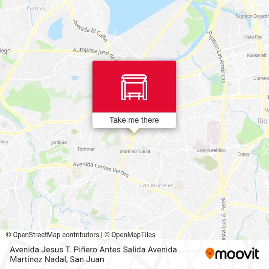 Avenida Jesus T. Piñero Antes Salida Avenida Martinez Nadal map