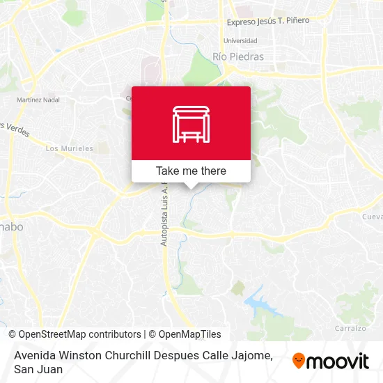 Mapa de Avenida Winston Churchill Despues Calle Jajome