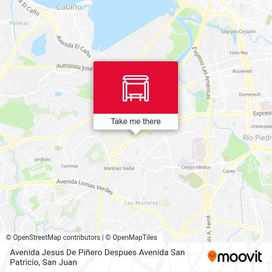 Avenida Jesus De Piñero Despues Avenida San Patricio map
