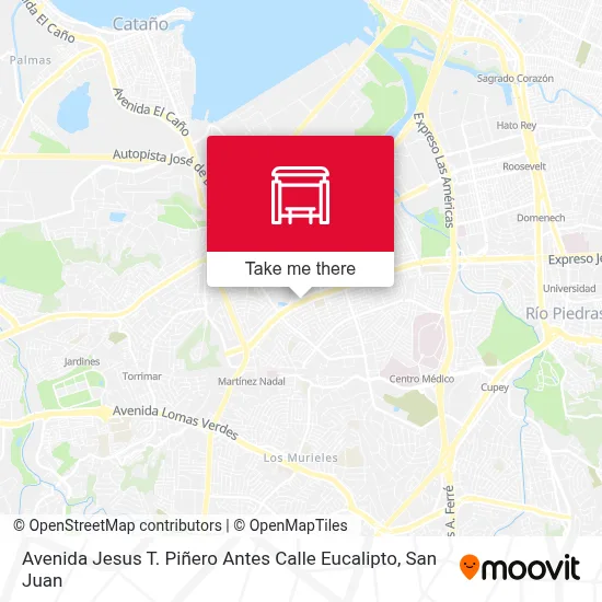 Mapa de Avenida Jesus T. Piñero Antes Calle Eucalipto
