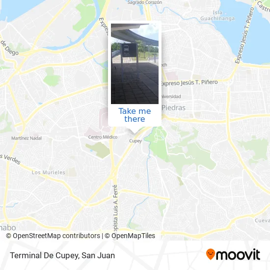 Mapa de Terminal De Cupey