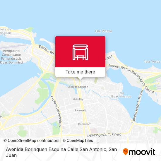 Mapa de Avenida Borinquen Esquina Calle San Antonio