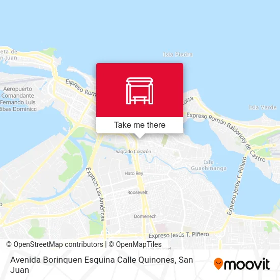 Avenida Borinquen Esquina Calle Quinones map
