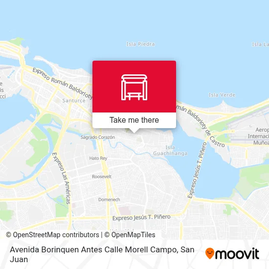 Avenida Borinquen Antes Calle Morell Campo map