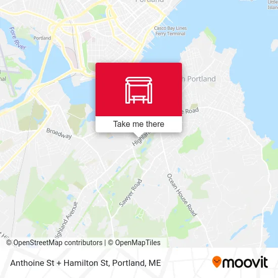 Anthoine St + Hamilton St map