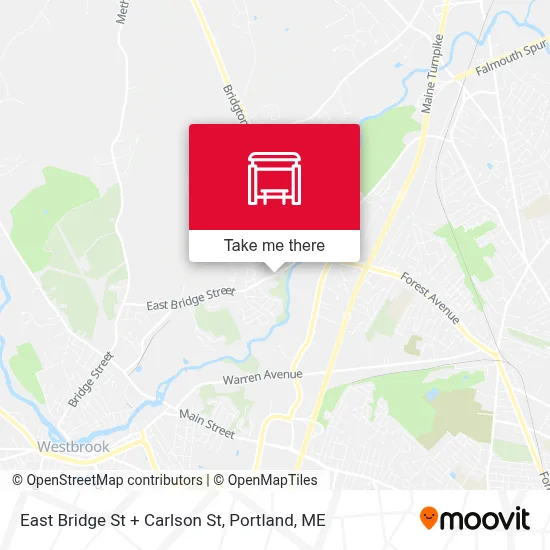 East Bridge St + Carlson St map