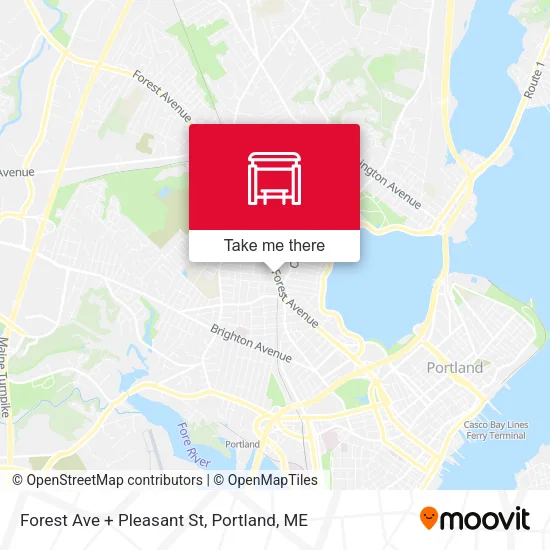 Mapa de Forest Ave + Pleasant St