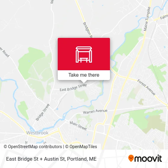 East Bridge St + Austin St map