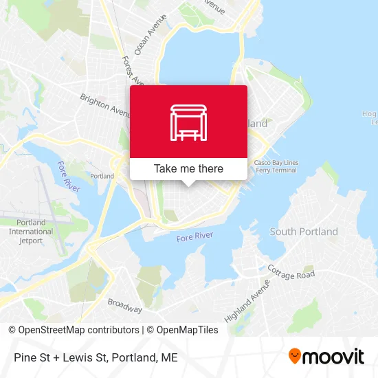 Pine St + Lewis St map