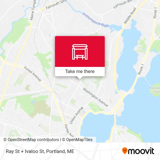 Mapa de Ray St + Ivaloo St