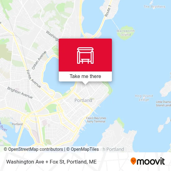 Washington Ave + Fox St map