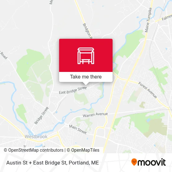 Austin St + East Bridge St map