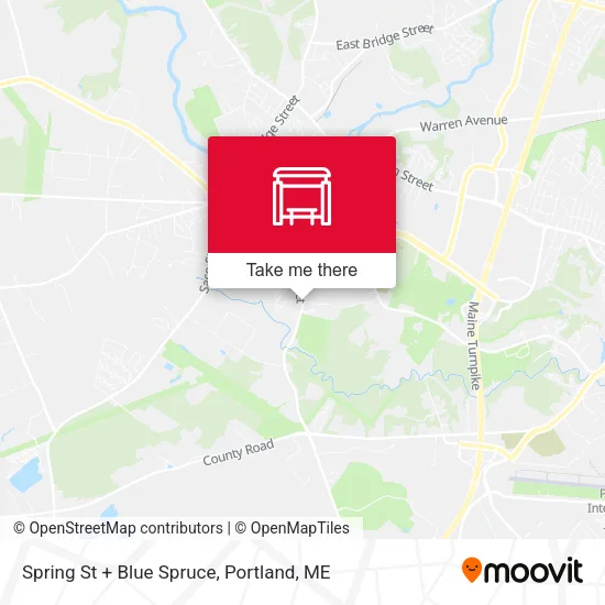 Mapa de Spring St + Blue Spruce