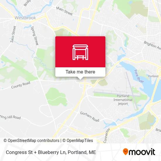 Congress St + Blueberry Ln map