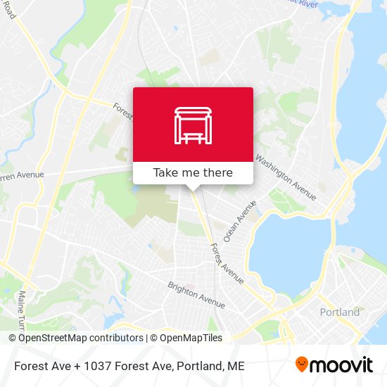Mapa de Forest Ave + 1037 Forest Ave