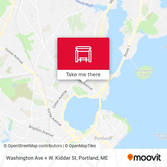 Washington Ave + W. Kidder St map