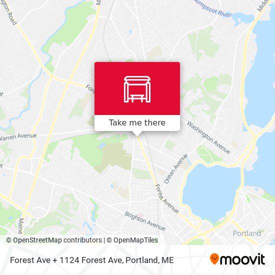 Forest Ave + 1124 Forest Ave map