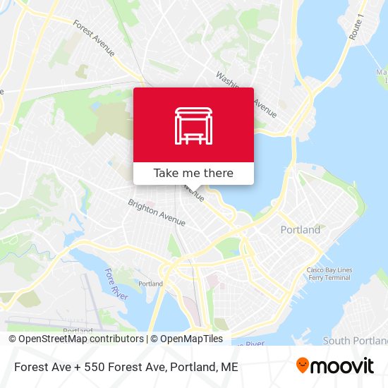 Forest Ave + 550 Forest Ave map