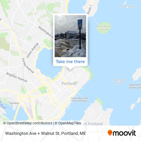 Washington Ave + Walnut St map